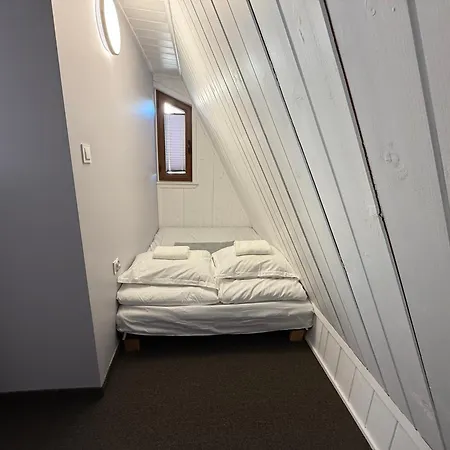 Zakohome- Centrum Appartement