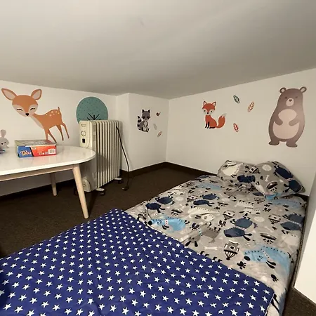 Zakohome- Centrum Appartement
